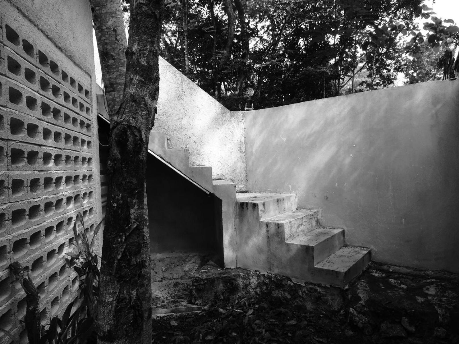 Pensión Barefoot Jungle *