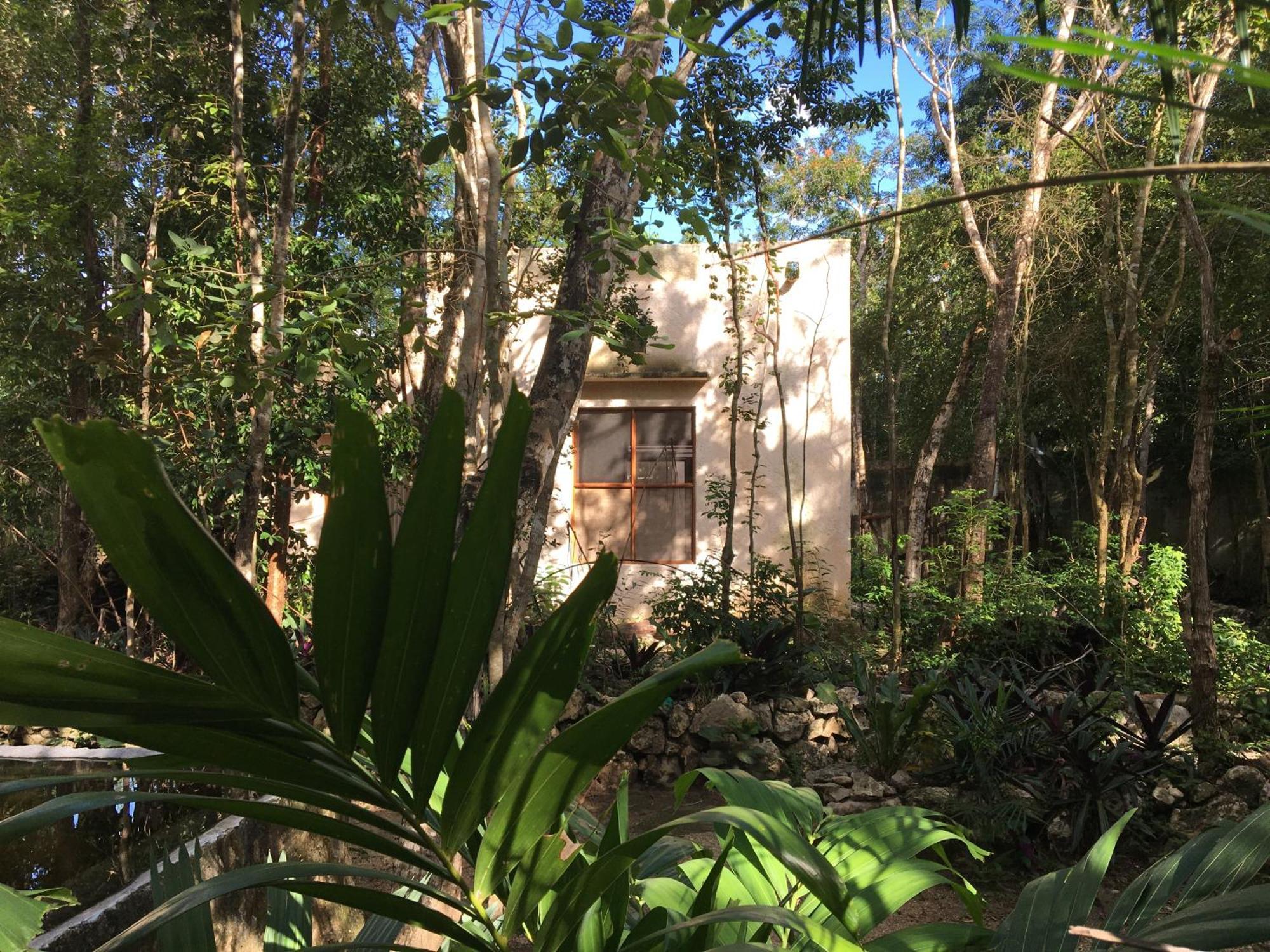 Pensión Barefoot Jungle